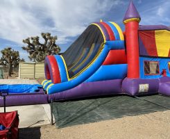 Red and Blue Colorful Dual Lane Combo Waterslide